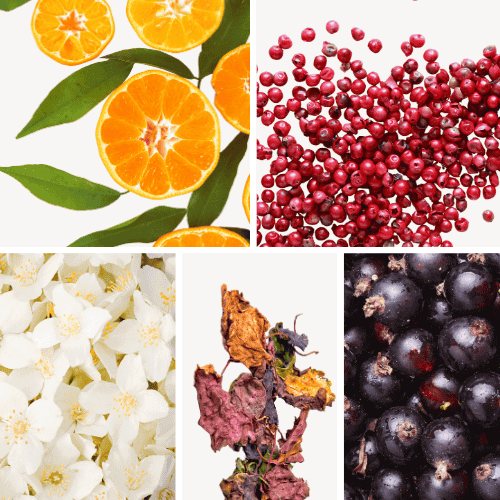 Preview: Duftnoten: Mandarine, rosa Pfeffer, Jasmin, Pastschuli, schwarze Johannisbeere